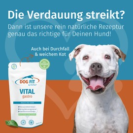 DOG FIT by PreThis® VITAL Gastro bei Durchfall & weichem KOT I Darmkur & Verdauungshilfe für Hunde mit Verdauungsproblemen I Natürlich, ohne Zusätze I 80g