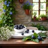 WsjiaboFux 20 Pcs Artificial Blueberries Plastic Fake Blue Berry Plants