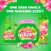 Gain Scent Booster Beads, In-Wash Laundry Scent Beads for Long-Lasting