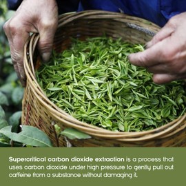 Green Peaks Tea Organic Decaf Green Tea Bags - Mild Taste,Antioxidantn for Hot & Cold Decaffeinated Beverages,30 Teabags