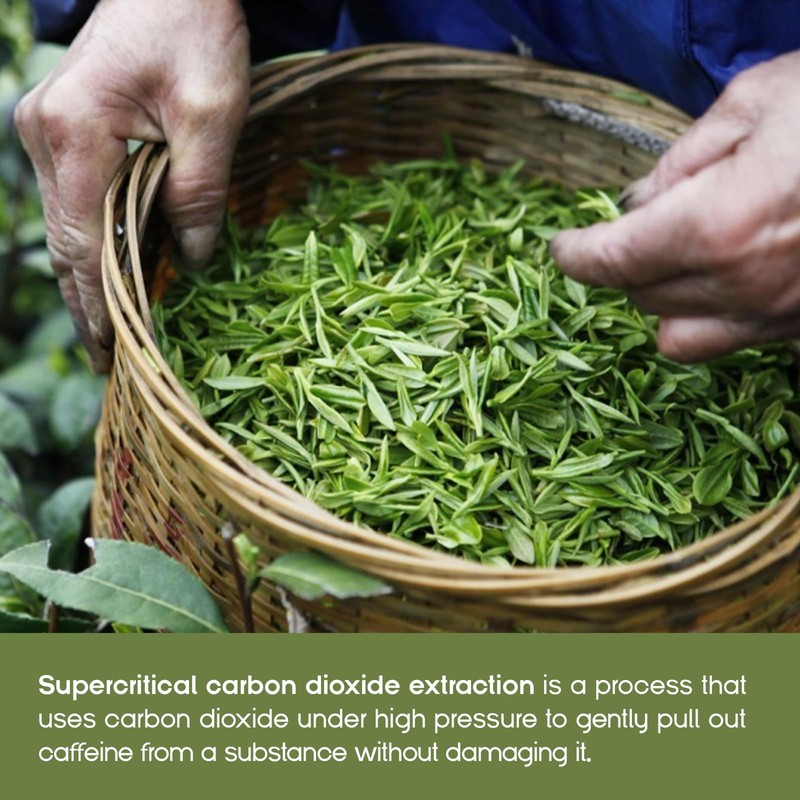 Green Peaks Tea Organic Decaf Green Tea Bags - Mild