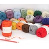 Hamanaka 2458 Amerie F Gota Medium Thick Yarn, Purple Type,