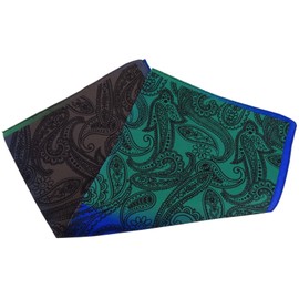 TigerTie Fine Silk Handkerchief in Paisley Patterned - Pocket Square 100% Silk, Royal green, brown, blue, black
