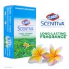 Clorox Scentiva Fabric Softener Dryer Sheets, Fresh Brazilian Blossoms Scent