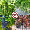 EKKONG Plant net, trellis net, greenhouse, trellis net for cucumbers,