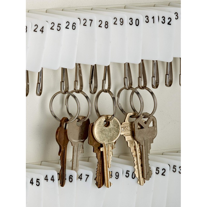 Adiroffice Key Holder Wall Mount - 60 Keys Lock Box