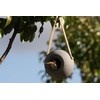SingingFriend Lisa Wild Bird Feeder, Grey, One Size