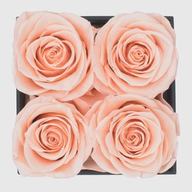 Graceful Fleurs | Real Long Lasting Roses for Years | Preserved Fresh Flowers for Delivery Birthday | Birthday Gifts for Women | Forever Roses in a Box (Light Peach, Black Box, 4 Roses)