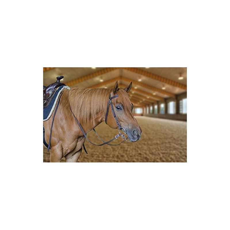 Tahoe Tack Plain Double Layer Nylon Headstall with Reins, Multiple