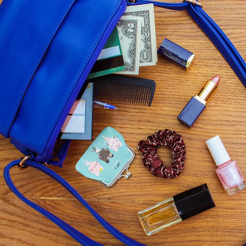 Acooruiteng Coin Purse Cute Coin Pouch Kiss-Lock Change Purse Fashion