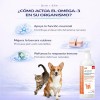 Aceite De Salmón Omega 3 Y 6 Para Perros Y