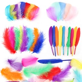 500 pcs Feathers for Crafting, Colorful Craft Feathers, Natural Goose Feathers for DIY Handmade Crafts, Box Filling, Dream Catcher, Mask, Party, Wedding Decoration (4 Styles)