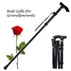 Collapsible Walking Cane for Women & Senior Men, Folding Lightweight