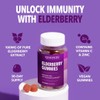 Elderberry Gummies 100mg for Fast Cold & Flu Relief |