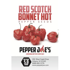 Pepper Joe’s Red Scotch Bonnet Pepper Seeds – Pack of 10+ Hot Chili Pepper Seeds – USA Grown – Premium Non-GMO Reaper Seeds for Planting