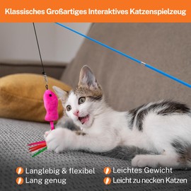 Toozey Cat Toy 12 Pieces, Cat Fishing Rod with 2 Pieces Retractable 10 Cat Toy Replacement Feathers, Cat Toy Self-Employment with Feather/Bug/Fish Bell, Interactive Cat Toy Set
