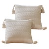 Woven Throw Pillow Cover with Tassels 2 Pack Spring Farmhouse