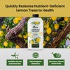 32oz Lemon Tree Fertilizer - Makes 32 Gallons of 2-in-1