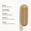 Mushroom Supplement - Lions Mane, Reishi, Cordyceps, Shiitake, Maitake, Chaga,