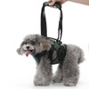 Cat Vest Harnesses Leash Adjustable Breathable Stylish Multifunctional Pet Walking