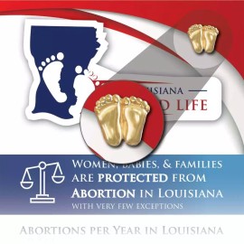 Heritage House '76 Precious Feet, Gold-Colored, Louisiana Stats Card Jewelry, Lapel Pin