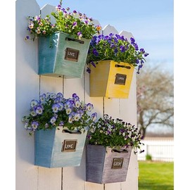 Panacea 83224 File Drawer Wall Planters, Assorted Colors, 4 Pack