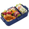 Skater Ag+ Silver Ion, Antibacterial, Fluffy, Dome-Shaped Lid, Bento Box,