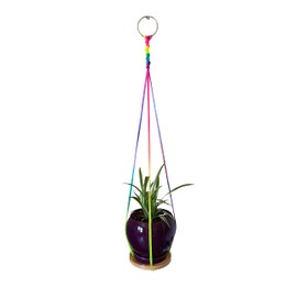 ATLanyards Bright Raimbow Hanging Plant Shelf | Rainbow Plant Hanger | Floating Plant Shelf | Macrame Plant Holder | Rainbow Home Decor | Tween Bedroom Decor (28" Long with Metal Ring)
