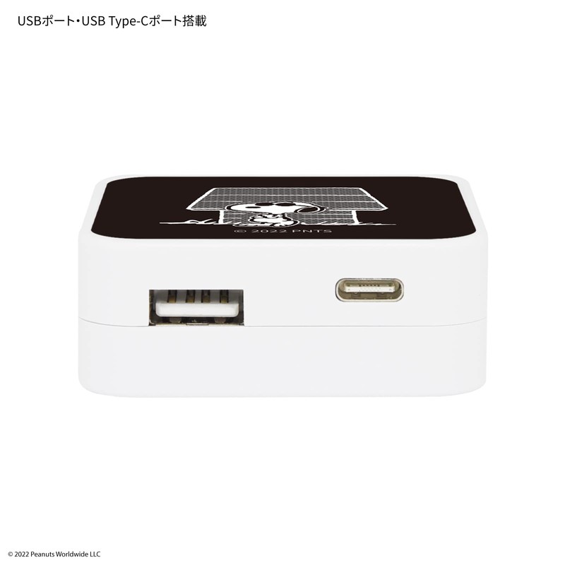 Gourmandise Peanuts USB/USB Type-C AC Adapter Joe Cool SNG-718B