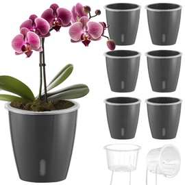 KvyusFlourish Self Watering Pots for Indoor Plants, 6-Pack 5'' Self Watering Planter with Drainage Holes, Small African Violet Pots with Water Indicator, Clear Wick Orchid Pot, Grey Gold