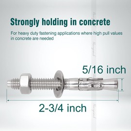 Horiznext 5/16"x 2-3/4" inch Stainless Steel Standard Strong Wedge Anchor, Fasteners for Concrete (4 pcs)