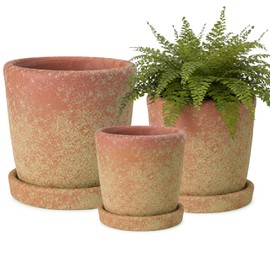 Yungyan Set of 3 Rustic Terracotta Planter Pot and Saucer 5/6/7 Inch Aged Farmhouse Style Flower Pot Distressed Finish Cement Planter with Drainage Hole for Indoor Outdoor Garden, Patio, Porch
