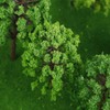 Pack of 25 Model Trees, Miniature, Train Trees, Railway, Landscape,