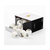 Killerspin 25 Pack - Training Balls 40+ (White)