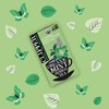Clipper Tea Mint Herbal Teabags – Caffeine Free, USDA Organic,
