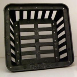 8 Inch Square Vanda Orchid Basket - 5 Pack