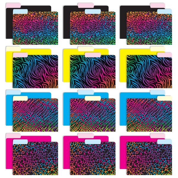 Global Printed Products Deluxe Designer Printed File Folders, 1/3 Cut