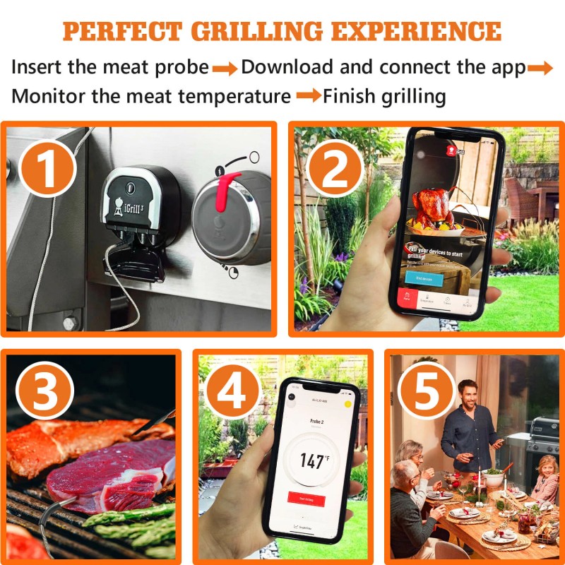 Weber 2-Pack iGrill Meat Probe Replacement for Weber Gas and