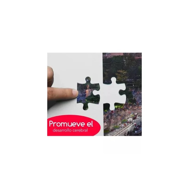 Bluelander Mayoreo 10 Rompecabezas 1000 Pz Bellas Artes Premium