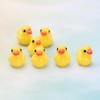SELECOCO Miniature Ducks Set of 10 Terranium Gardening Dollhouse Garden