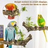 PINVNBY 3 Sizes Natural Bird Perches Wooden Parakeet Perches Bird