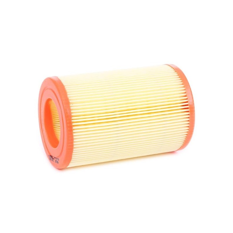 Valeo 585681 Air Filter