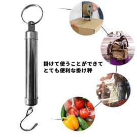 PAVIKE Hanging Scale, Luggage Scale, Spring Springs, 11.0 lbs (5 kg), Convenient, For Outdoors, Fishing, Home, Travel, Lightweight, Measuring Tool