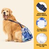 3 Pack Avont Washable Female Dog Diaper with Suspender, Reusable
