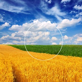 Totill 4-Pack for Garmin Watch Fenix 5 Tempered Screen Protector, 99.99% HD Clarity 9H Hardness Premium Quality Guard Film, Case friendly Comfortable Round Edge, Shockproof Scratchproof - Transparent