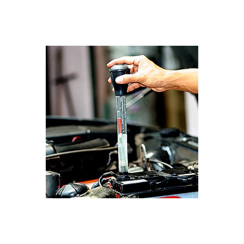 Carpoint 0677715 Batteriesaure Prüfer Stab