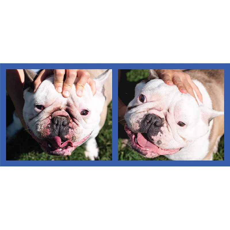 Squishface Flexible Silicone Dog Wrinkle Paste Applicator - Gentle Paste