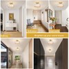 Jolydoly Semi Flush Mount Ceiling Light,Globe Glass Ceiling Light,Vintage Small