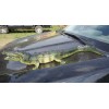 Crocodile - Realistic Replica AAA