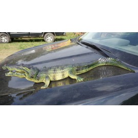 Crocodile - Realistic Replica AAA
